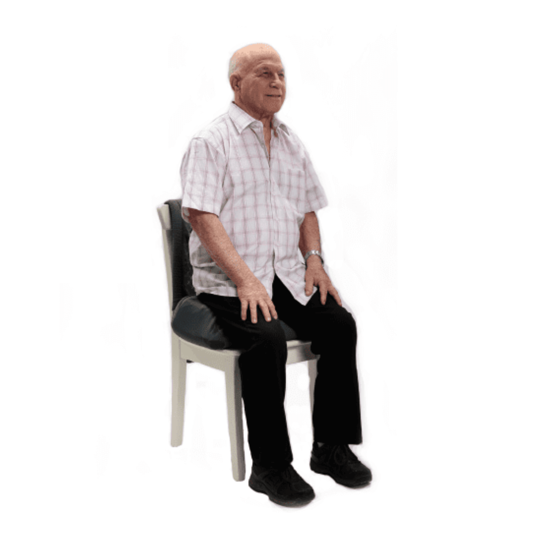 SNSCLStandardChair.png